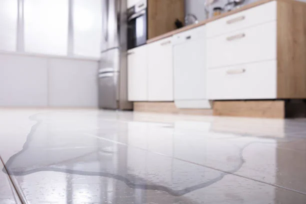 Appliance Repair